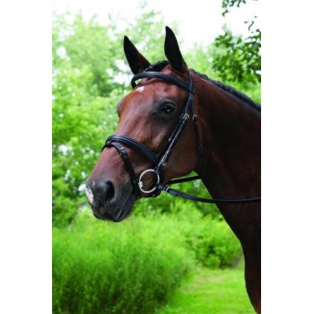 VESPUCCI SINGLE CROWN DOUBLE RAISED SNAFFLE BRIDLE withFLASH
