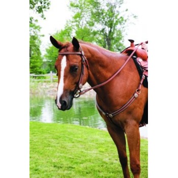 SIERRA BROW SHOW HEADSTALL with SPOTS & ROSETTES, SOFTCHESTNUT