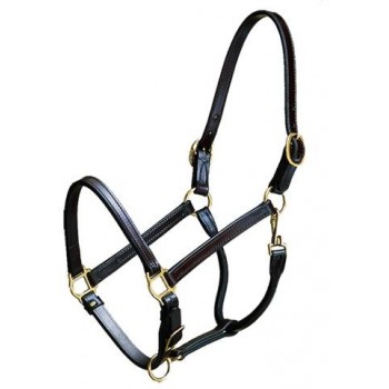 CONTENDER 3/4 inch TURNOUT HALTER, BROWN, YEARLING