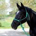 CAVALIER MOUNTAIN ROPE HALTER with 8 ft LEAD