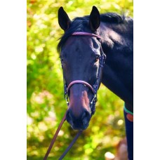 HDR ADVANTAGE RAISED FANCY STITCHED BRIDLE with LACED REINS