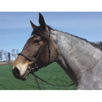 HDR ADVANTAGE DRAFT BRIDLE with 63 inch REINS