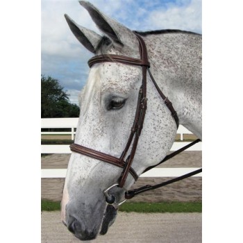 HDR PRO STRESS FREE FANCY PADDED BRIDLE