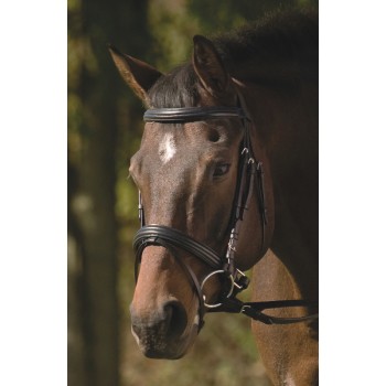 HDR PADDED RAISED DRESSAGE BRIDLE with JAWBAND, CRANK, FLASHand WEB REINS