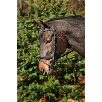 HDR DRESSAGE BRIDLE with CRANK, FLASH and WEB REINS