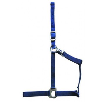 CAVALIER ECO STABLE HALTER WITH TONGUE BUCKLE CROWN