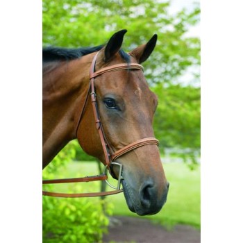 HdR FANCY RAISED PADDED BRIDLE
