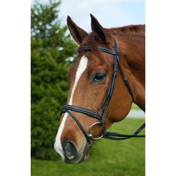 HdR EVENT BRIDLE with FLASH ATTACHMENT