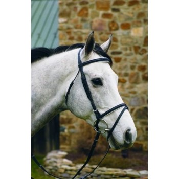 HdR DRESSAGE BRIDLE with BLACK PADDING