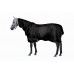 CENTURY EQUILAYERS EQUISHELL 1680D RAIN SHEET