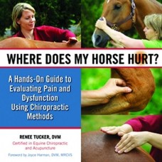 WHERE DOES MY HORSE HURT