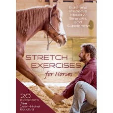 STRETCH EXERCISES FOR HORSES