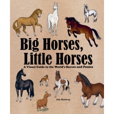 BIG HORSES, LITTLE HORSES BOOK