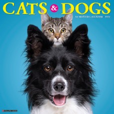 2023 CATS & DOGS CALENDAR
