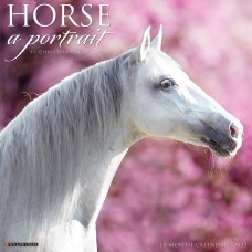2023 HORSE: A PORTRAIT CALENDAR