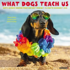 2023 WHAT DOGS TEACH US CALENDAR