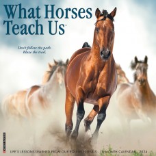 2024 WHAT HORSES TEACH US CALENDAR
