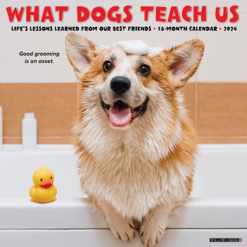 2024 WHAT DOGS TEACH US CALENDAR