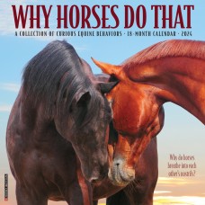 2024 WHY HORSES DO THAT CALENDAR