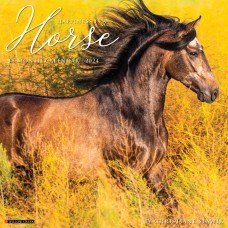 2024 HAPPINESS IS A HORSE CALENDAR