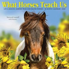 2025 WHAT HORSES TEACH US CALENDAR