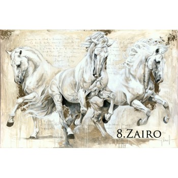 ELISE GENEST GREETING CARD, ZAIRO