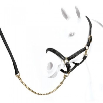 EQUIPE LEATHER HALTER WITH NYLON-FABRIC BRAID